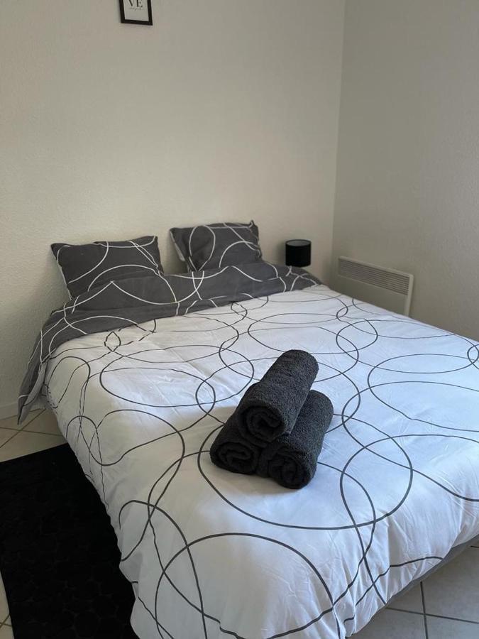 Logement Entier - Universite - Parking Privatif - Wifi Le Mans Eksteriør billede